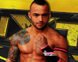 All Hail King Ricochet